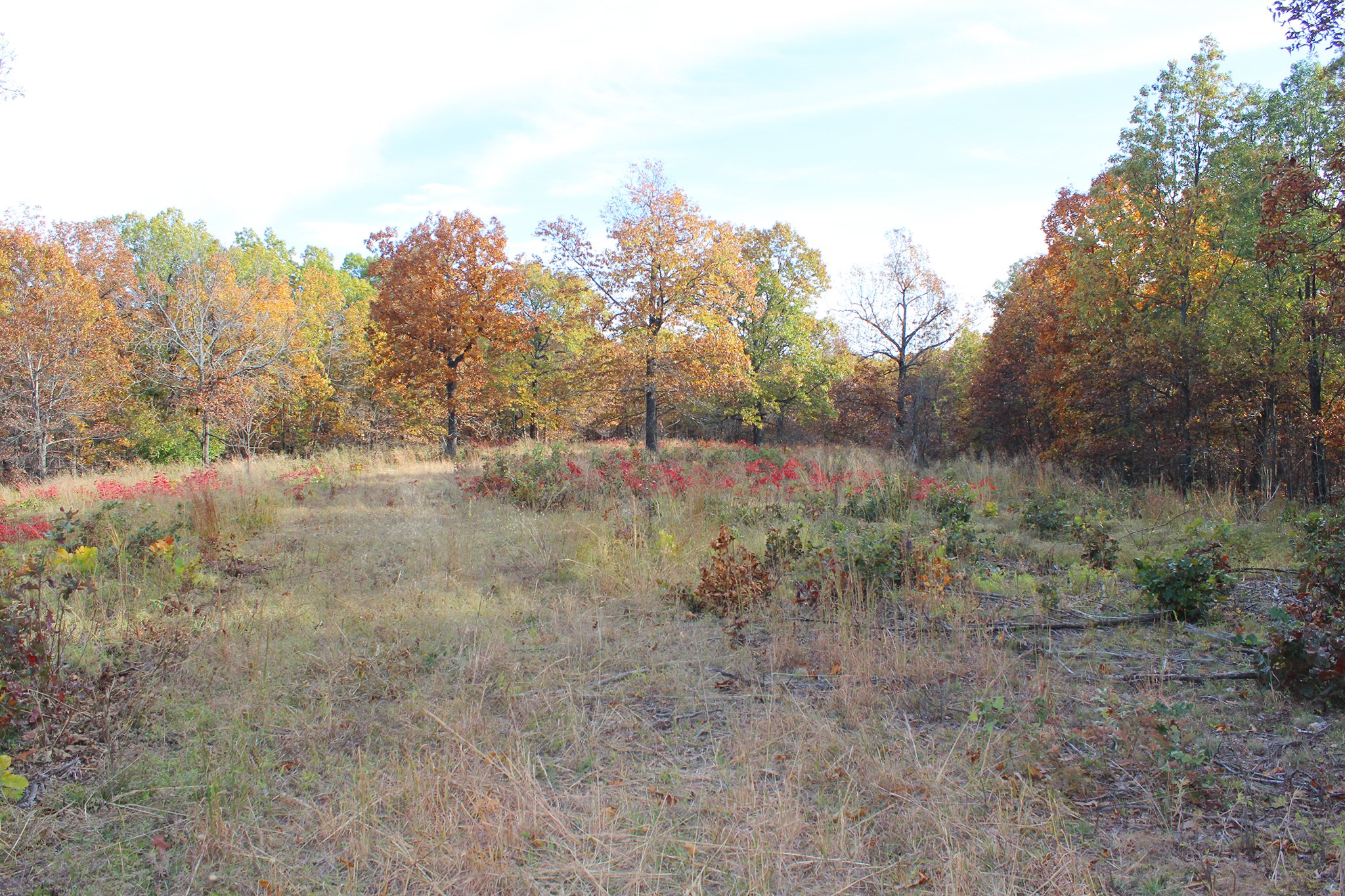 Tract 6 - OKLAHOMA LAND & REAL ESTATE AUCTION, 438 +/- Acres offered in 13 Tracts